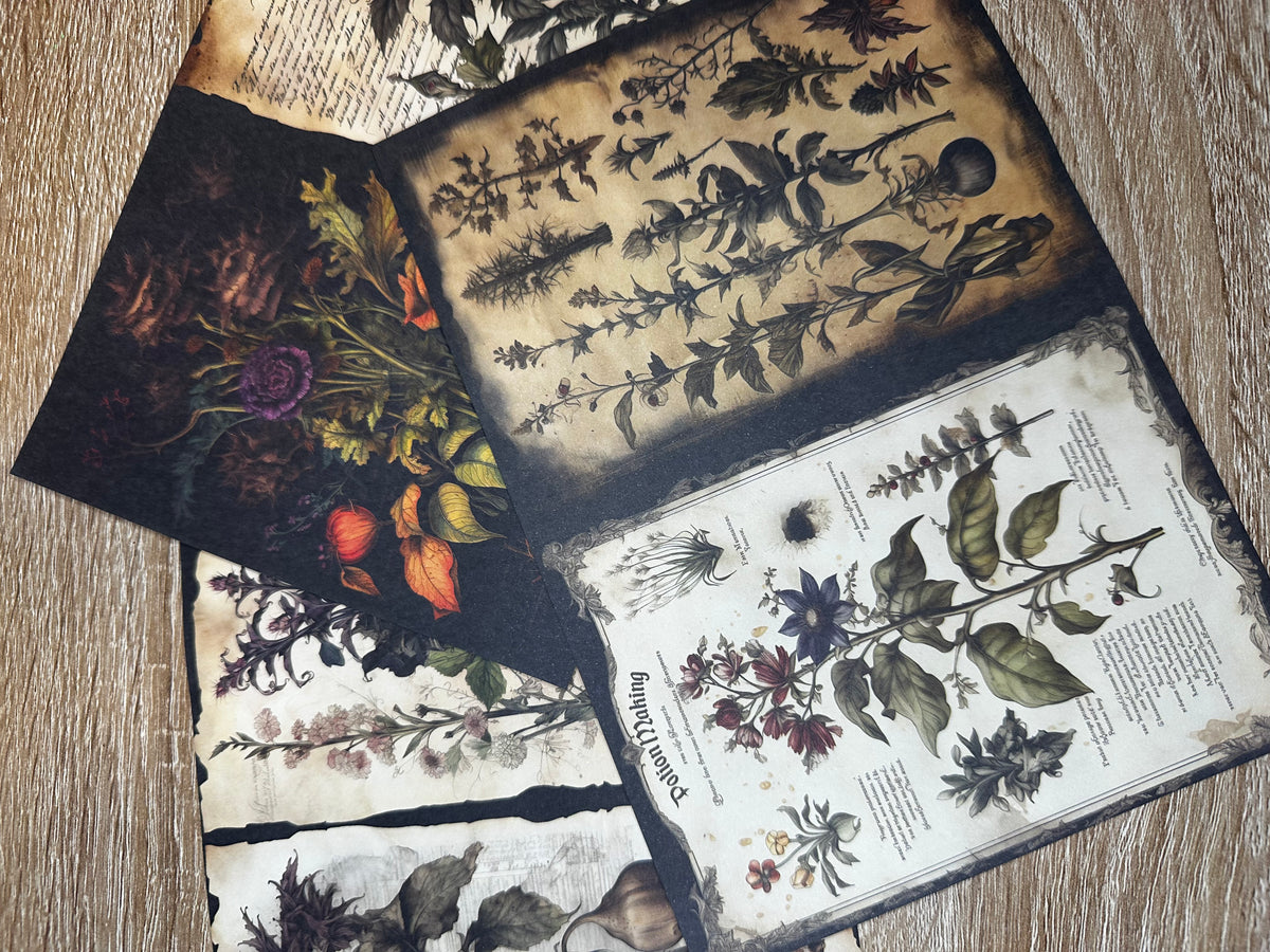 The Wychwood Junk Journal Bundle ~ Fantasy Forest Journaling Kit